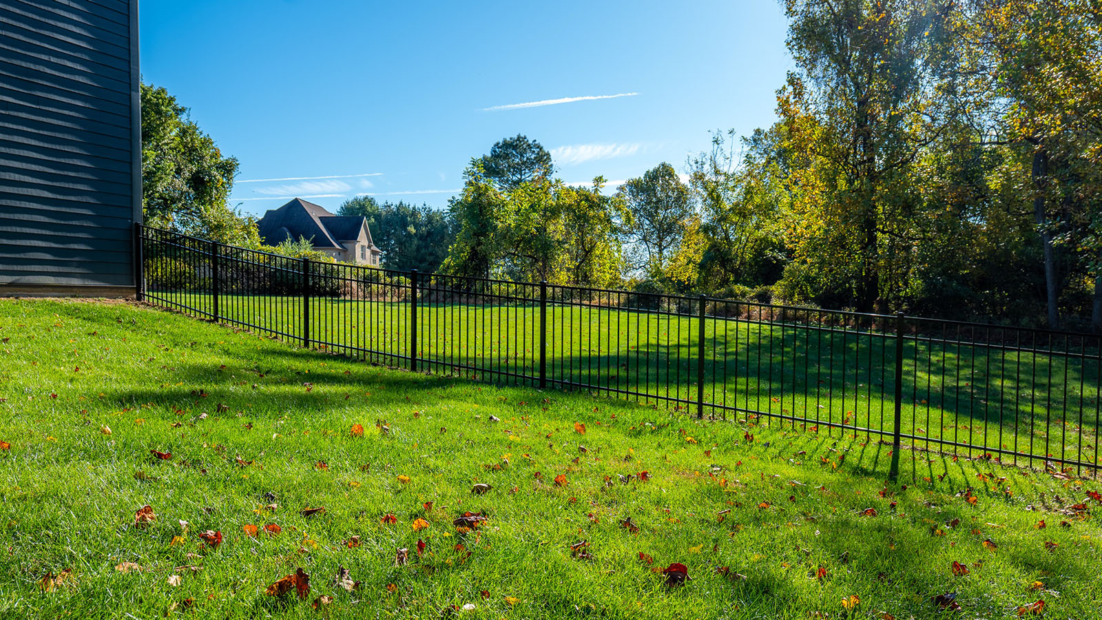 Ornamental iron fence
