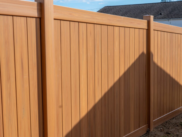 Aston Pennsylvania Iron Fence – 2