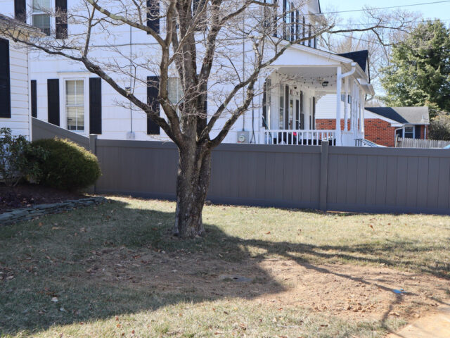Maple Avenue Vinyl – 2