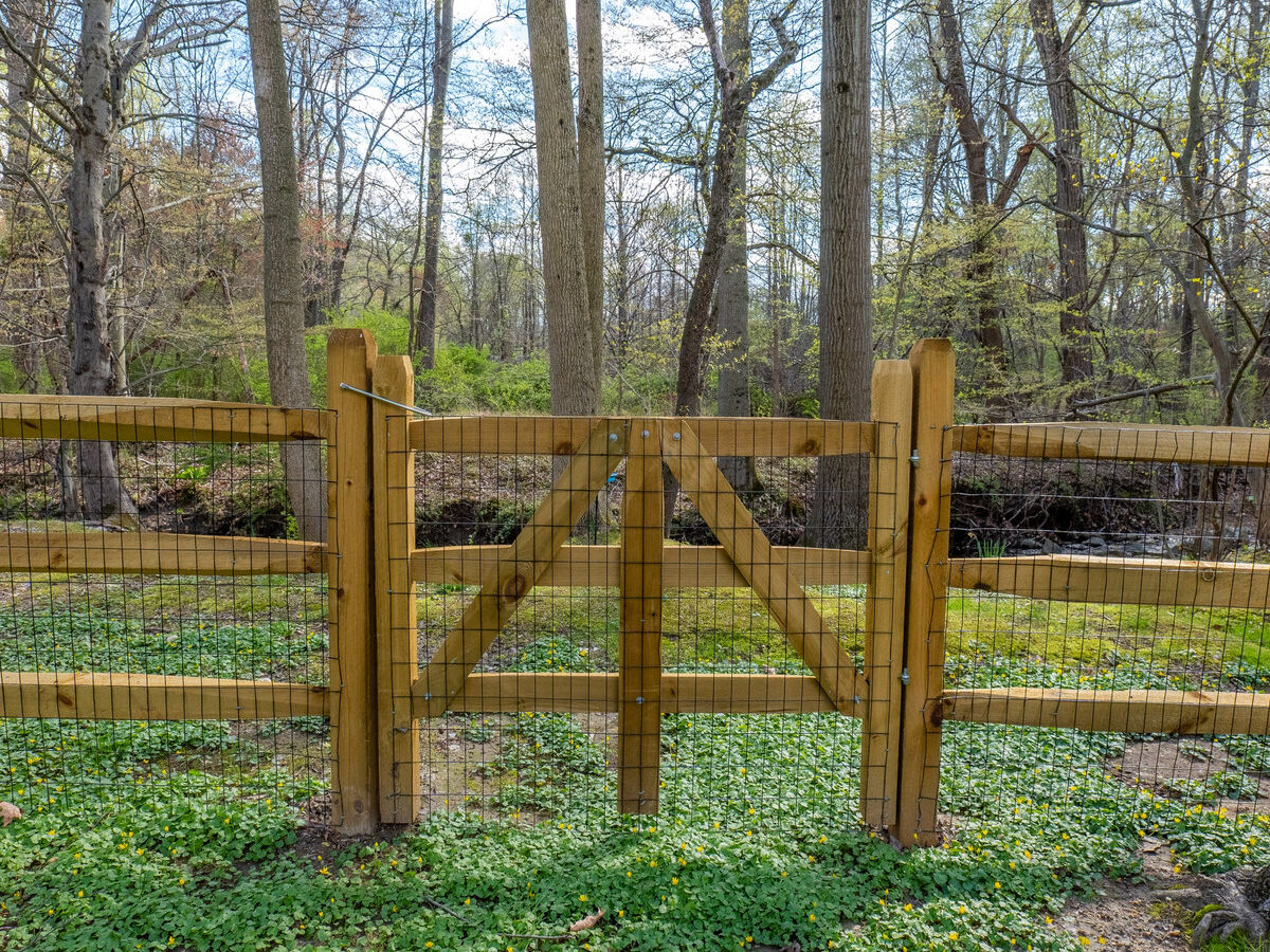 Cedar privacy fence Delaware