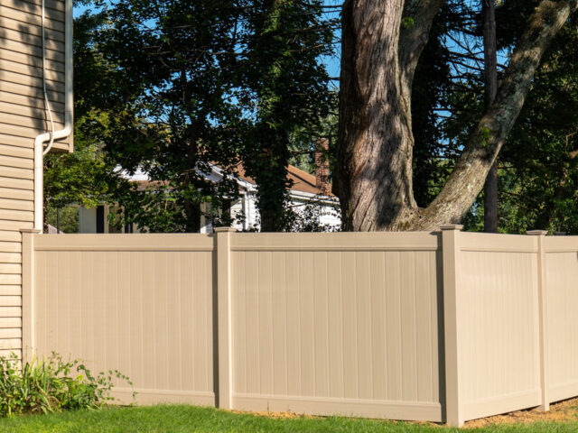 Tan Vinyl Neighbors – 1