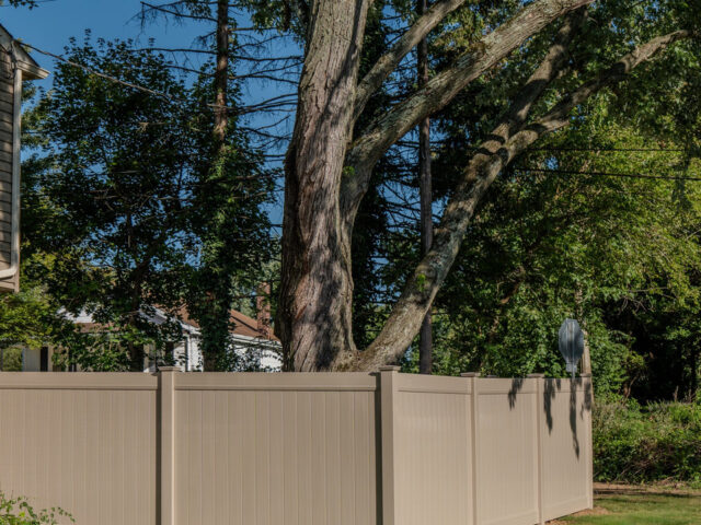 Tan Vinyl Neighbors – 5