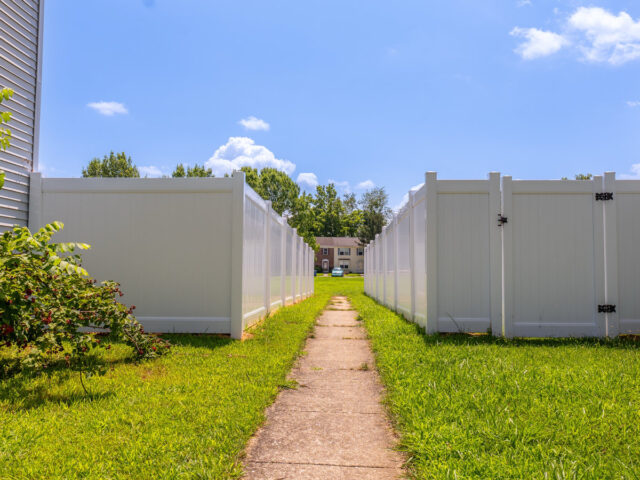 Neighbors White Vinyl – 4