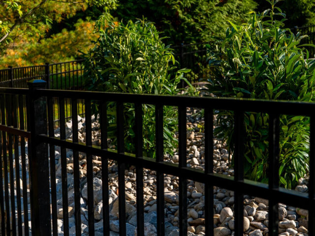 Owls Nest Iron Fence – 2
