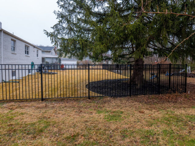 Fiorantti Iron Fence – 2
