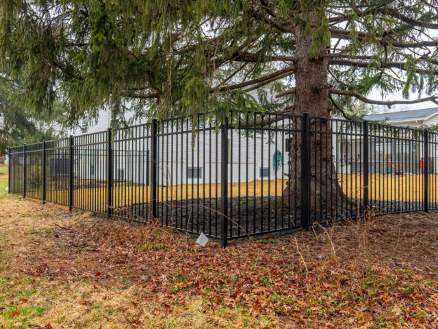 Fiorantti Iron Fence – 3