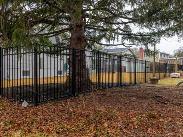 Fiorantti Iron Fence – 4