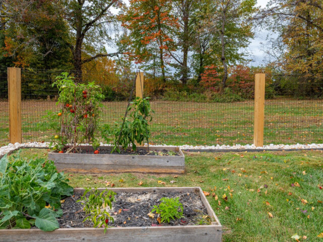 Townsend Wire Fence – 2