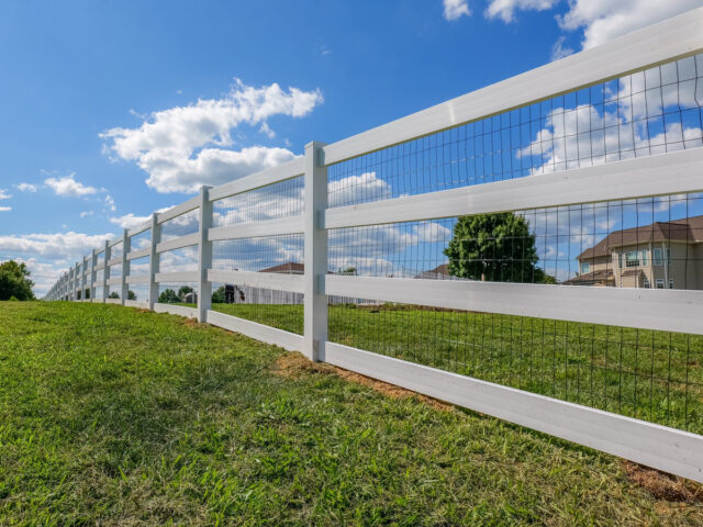 Vinyl Splitrail Chesapeake – 1