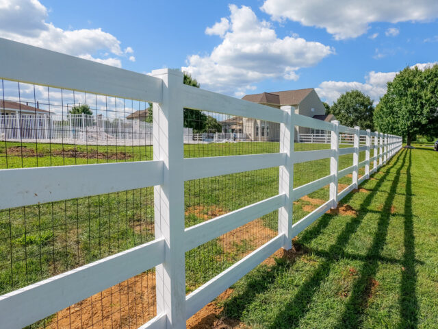 Vinyl Splitrail Chesapeake – 3