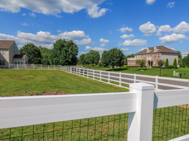 Vinyl Splitrail Chesapeake – 5