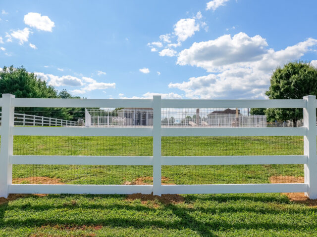 Vinyl Splitrail Chesapeake – 7