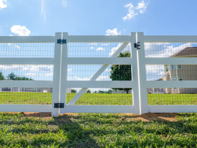 Vinyl Splitrail Chesapeake – 9