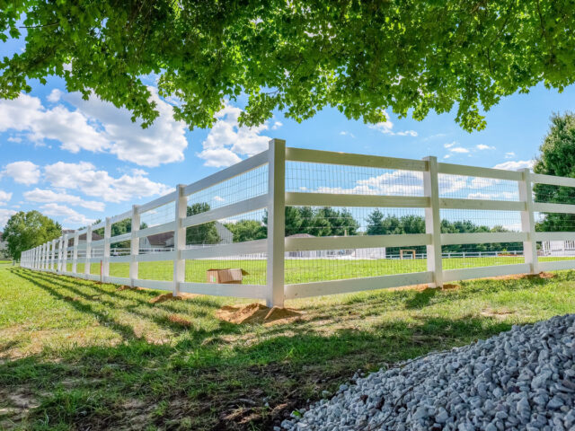 Vinyl Splitrail Chesapeake – 11